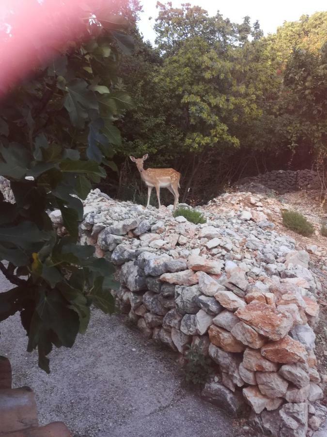Apartman Legac Starigrad  Zewnętrze zdjęcie